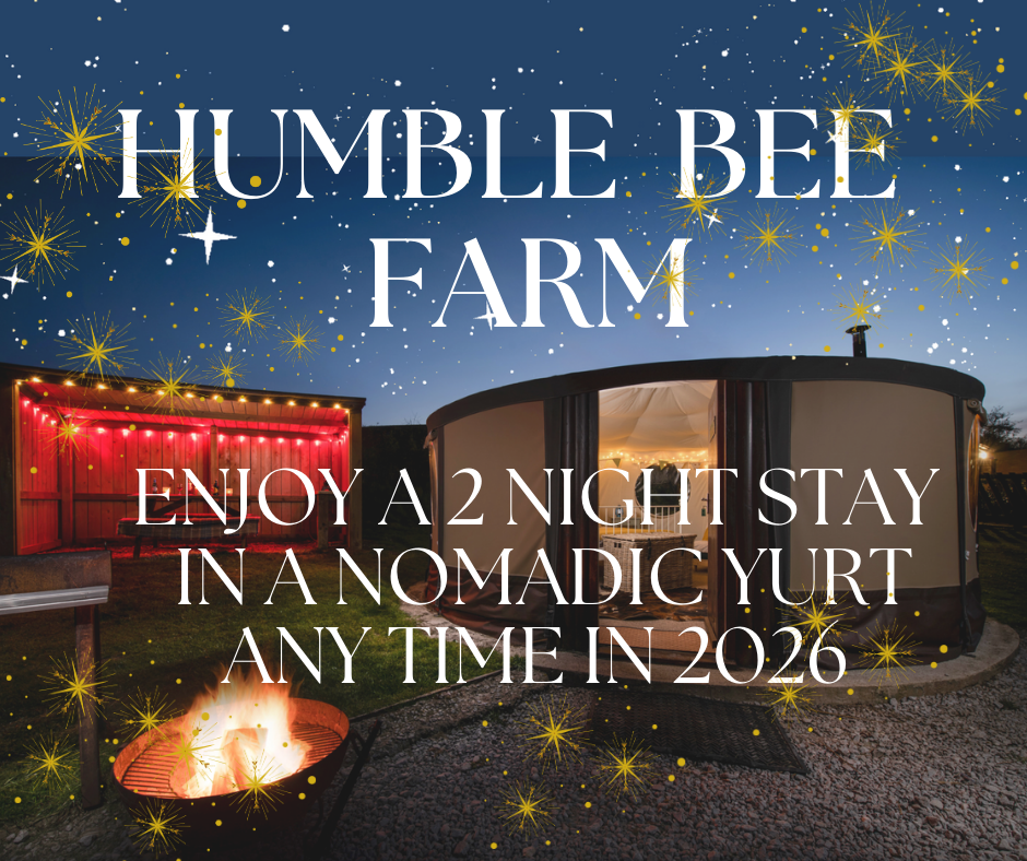 Nomadic Yurt,  2 nights