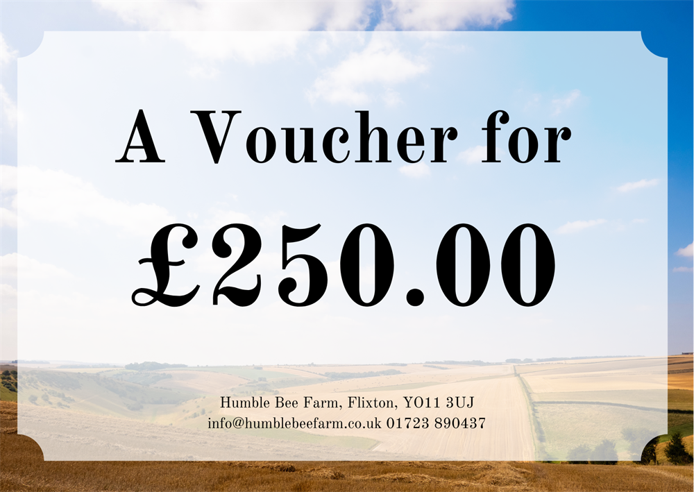 £250.00