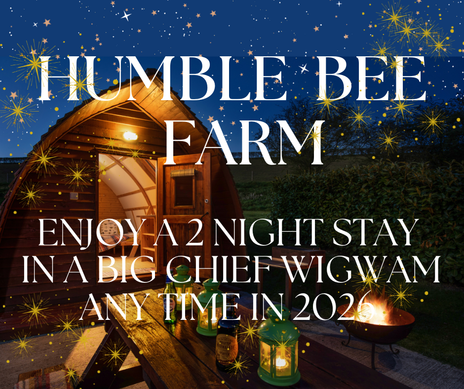  Big Chief Wigwam, 2 nights